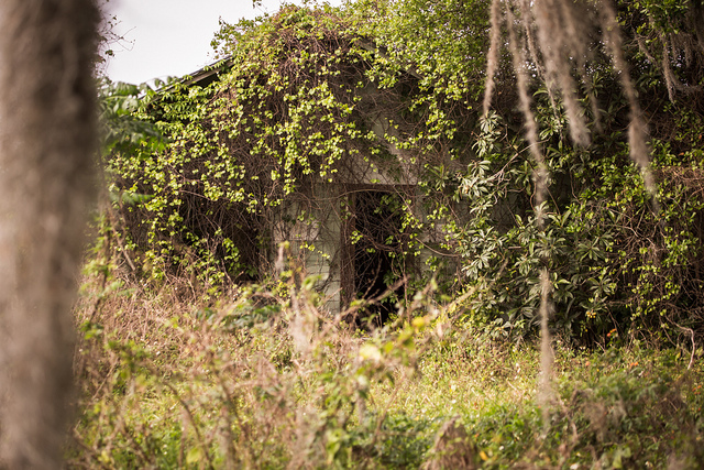 Abandoned House, Florida