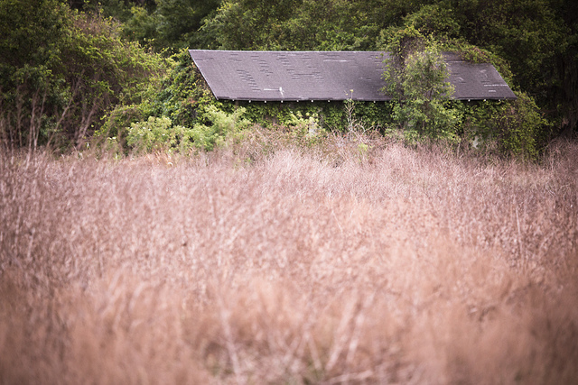 Abandoned House, Florida - Pic 2