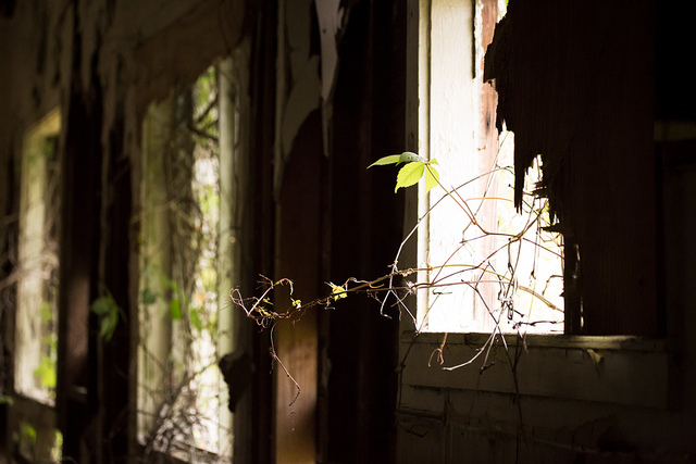 Abandoned House, Florida - Pic 5