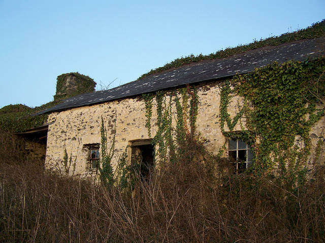 Abandoned cottage, near Aberystwyth, Wales