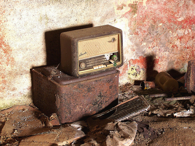 Abandoned cottage, near Aberystwyth, Wales - Pic 2