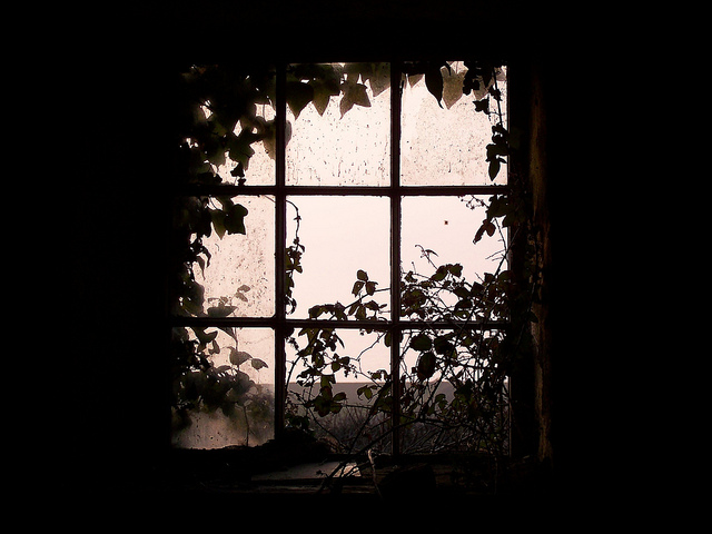 Abandoned cottage, near Aberystwyth, Wales - Pic 3