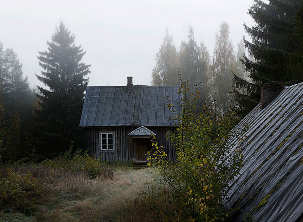 The Wildlife Cottages, Finland