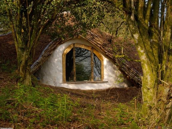 Enchanted Forrest Cottage