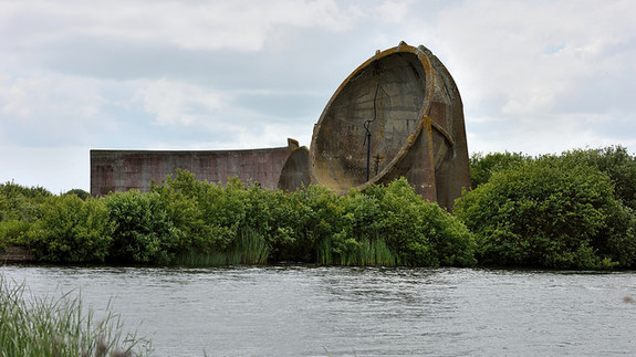 The Giant Listening Ears - Pic 2