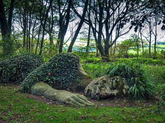 The Lost Tropical Gardens