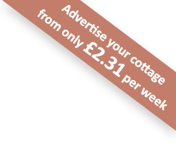 Advertise